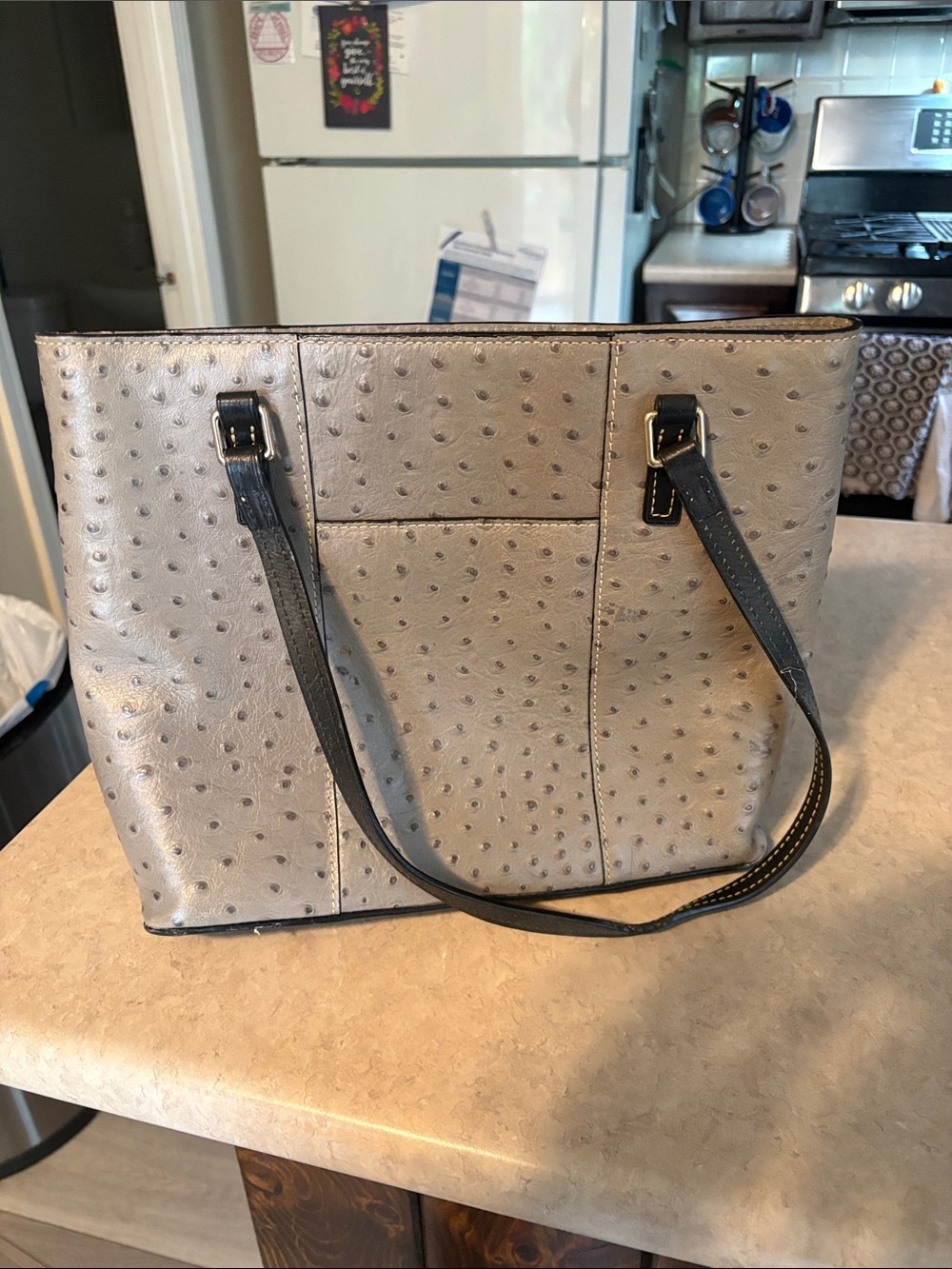 Dooney & Bourke Silver Ostrich-Embossed Tote with Black Straps - Picture 2 of 7